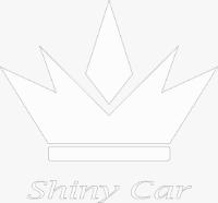 SHINY CAR