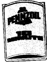 PENNZOIL 10 MINUTE