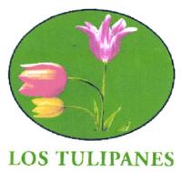 LOS TULIPANES