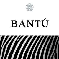 BANTÚ ZEBRA