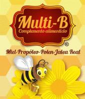 MULTI-B