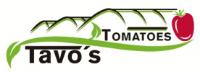 TOMATOES TAVO´S