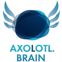 AXOLOTL BRAIN