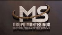 MS DISTRIBUIDORA DE DULCES MS