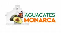 AGUACATES MONARCA