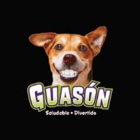 GUASÓN SALUDABLE DIVERTIDO