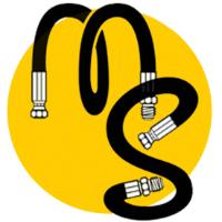 MS