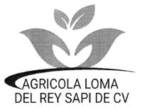 AGRICOLA LOMA DEL REY