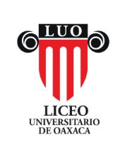 LUO LICEO UNIVERSITARIO DE OAXACA