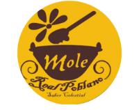 MOLE REAL POBLANO