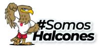 SOMOS HALCONES