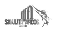 SAYULITA ARCOS MALECON