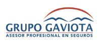 GRUPO GAVIOTA ASESOR PROFESIONAL EN SEGUROS