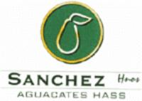 SANCHEZ HNOS AGUACATES HASS