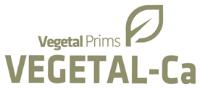 VEGETAL PRIMS VEGETAL-CA