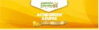 ACNEGREEN AZUFRE