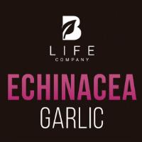 B LIFE COMPANY ECHINACEA GARLIC
