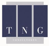 TNG CONSULTORES