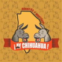 BURRITOS ¡AY CHIHUAHUA!