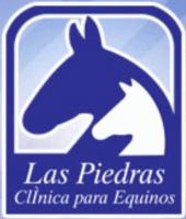 LAS PIEDRAS CLINICA PARA EQUINOS