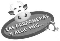 LAS ARRACHERAS Y ALGO MÁS.