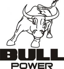 BULL POWER