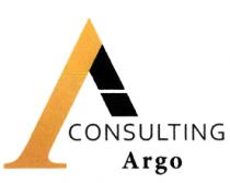 CONSULTING ARGO