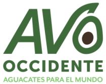 AVOOCCIDENTE; AGUACATES PARA EL MUNDO