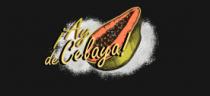 ¡AY DE CELAYA!