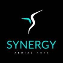 SYNERGY AERIAL ARTS