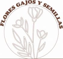 FLORES GAJOS Y SEMILLAS