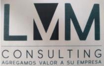 LMM CONSULTING