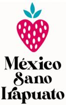 MÉXICO SANO IRAPUATO