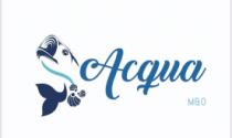 ACQUA M&O