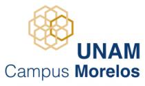 UNAM CAMPUS MORELOS