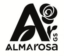 ALMA ROSA GS