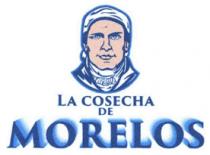 LA COSECHA DE MORELOS