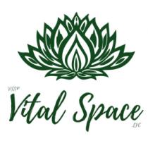 VTSP VITAL SPACE LVC