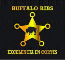 BUFFALO RIBS