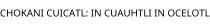CHOKANI CUICATL; IN CUAUHTLI IN OCELOTL