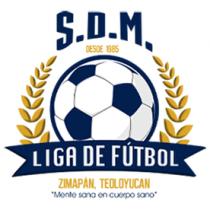 LIGA DE FÚTBOL 