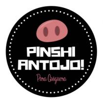 PINSHI ANTOJO!