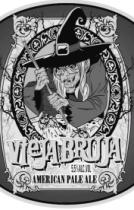 VIEJA BRUJA