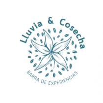 LLUVIA & COSECHA