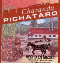 ARRIBA PICHATARO!!