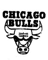 CHICAGO BULLS