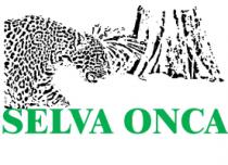 SELVA ONCA