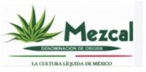 LA CULTURA LÍQUIDA DE MÉXICO
