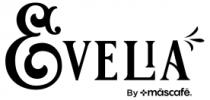 EVELIA BY MÁSCAFÉ