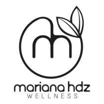 MH WELLNESS